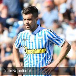 Alleanza Napoli-Parma sul mercato: dopo Sepe il club ducale ha chiesto altri tre azzurri