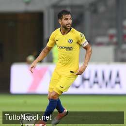 Chelsea,  Fabregas stregato da Sarri: “Mai avrei pensato di provare di nuovo le sensazioni che mi sta dando”